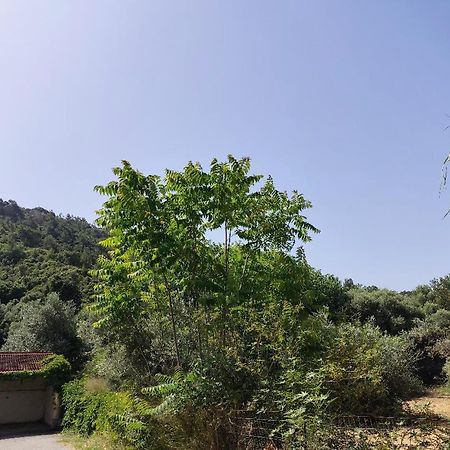 Callas Residence เอียลิซอส ภายนอก รูปภาพ